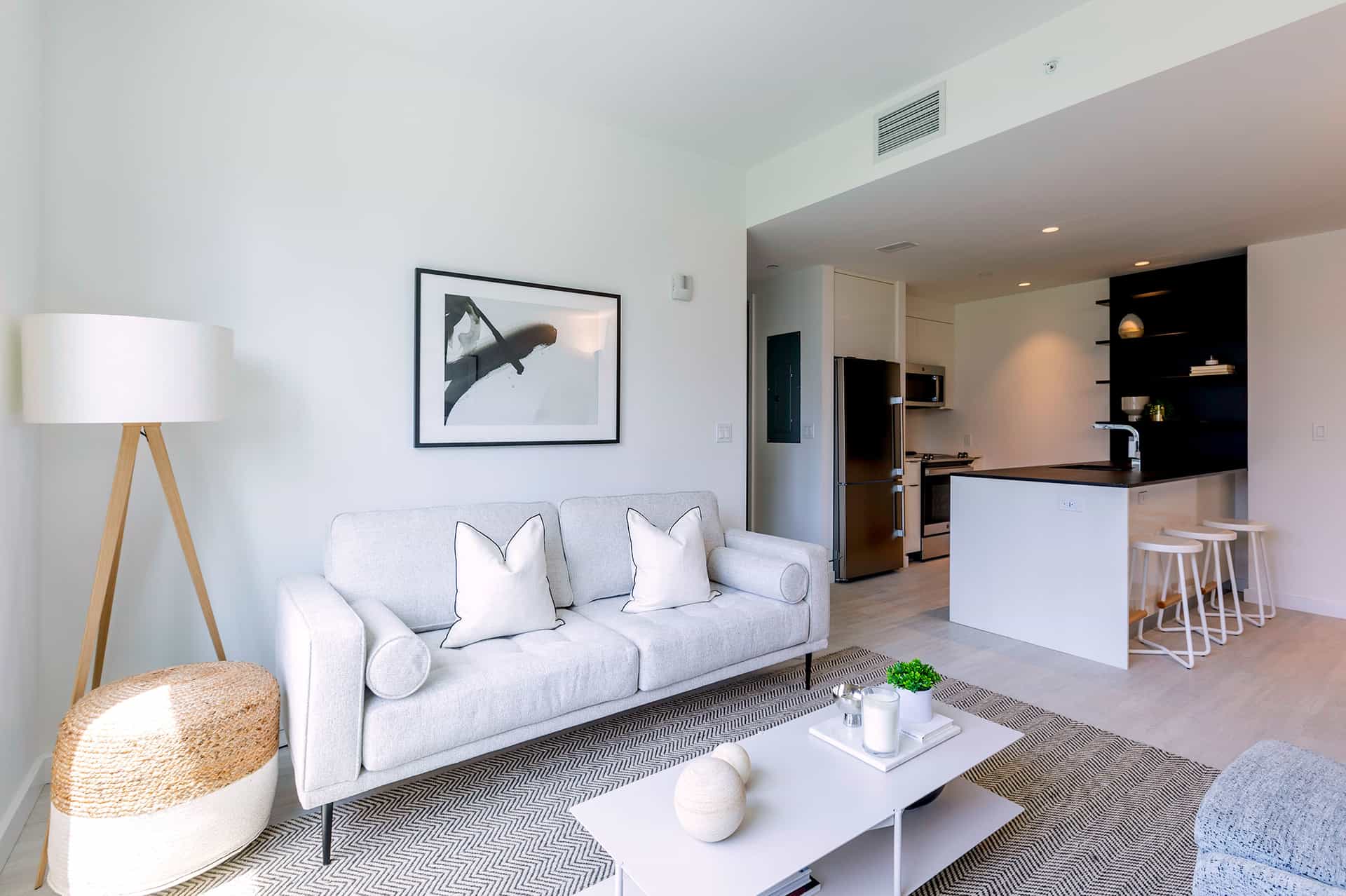 22 Chapel Street #14M, Brooklyn, NY 11201 2