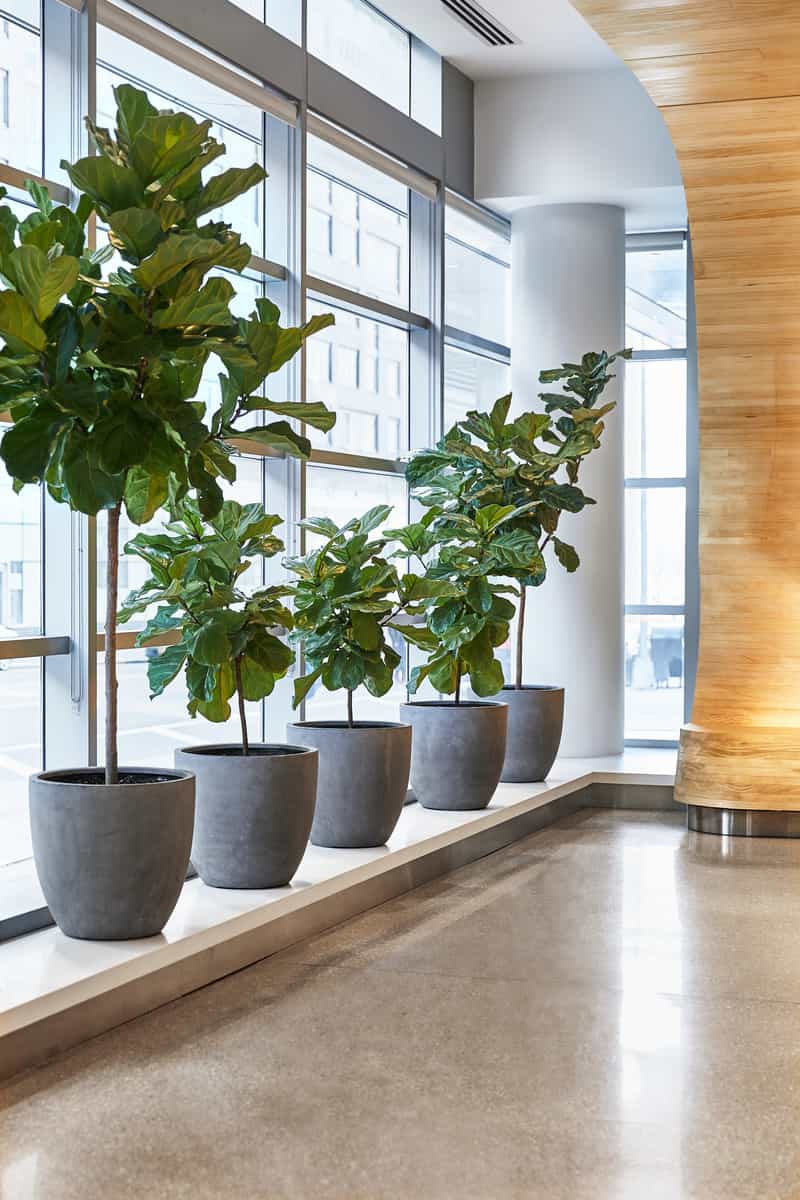 601 West 57 Street #19S, Manhattan, NY 10019 3