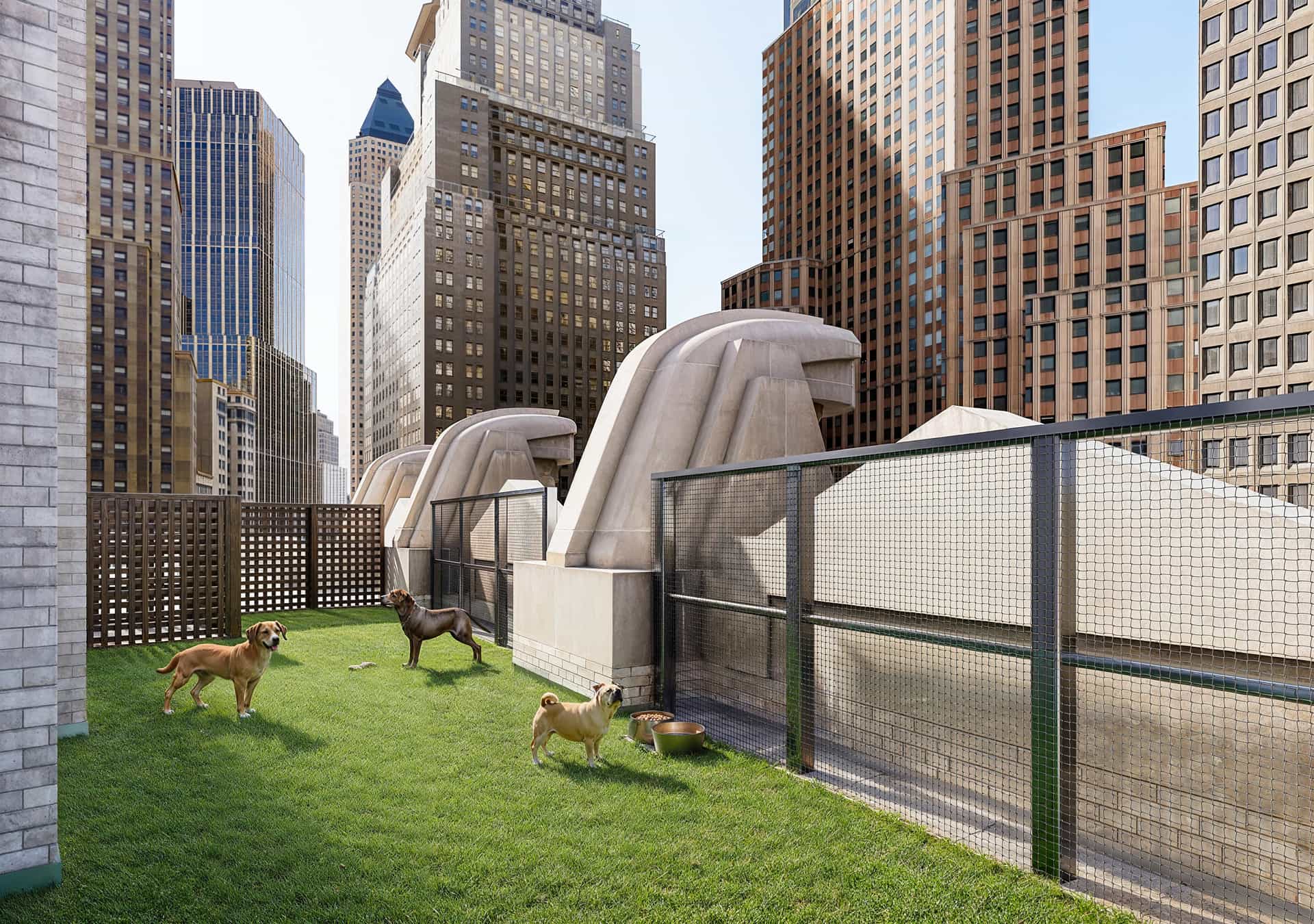 Twenty Exchange 20 Exchange Place #4903, Manhattan, NY 10005 5