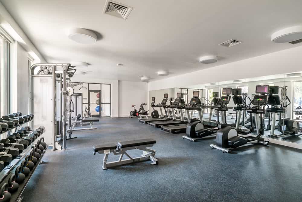 310 Clarkson Avenue #511, Brooklyn, NY 11226 3
