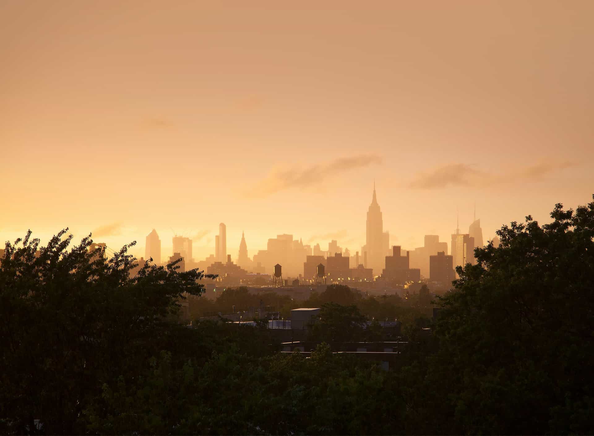 How to compare rental options in New York