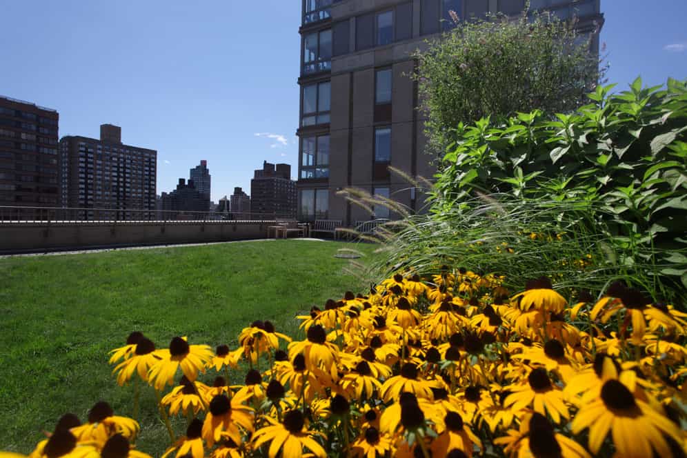 1500 Lexington Avenue #15F, Manhattan, NY 10029 4