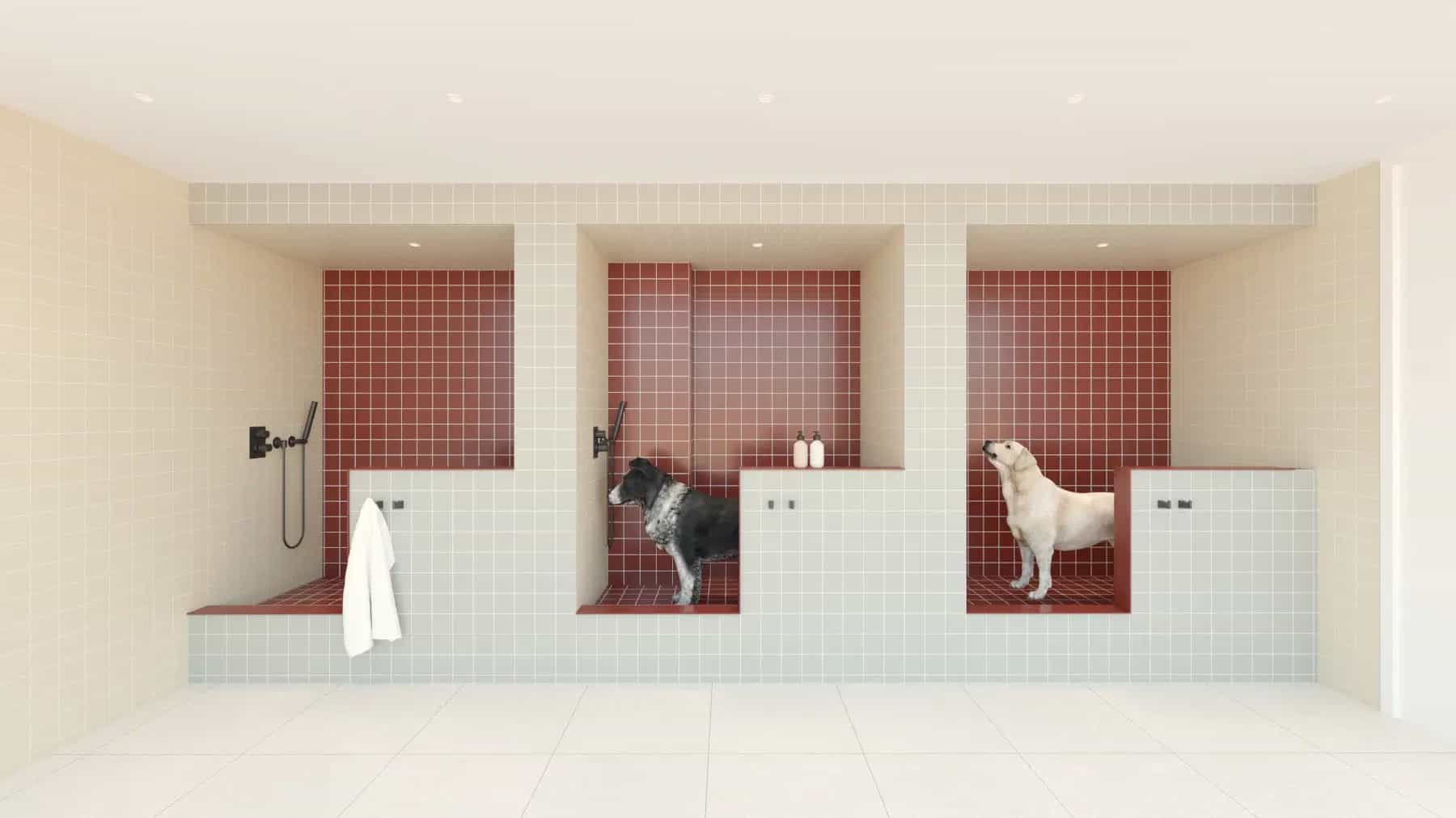 953 Dean Street #317, Brooklyn, NY 11238 2