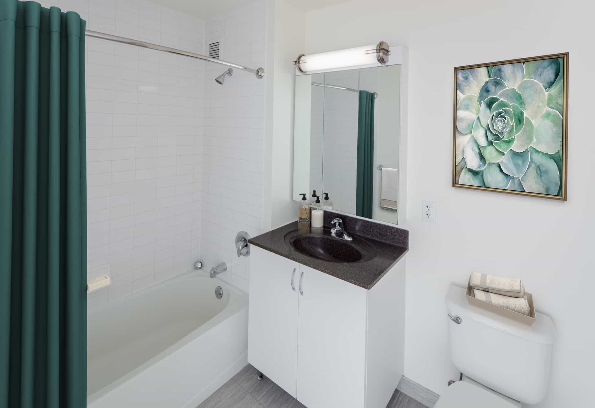 AVA Fort Greene 343 Gold Street #1704, Brooklyn, NY 11201 3