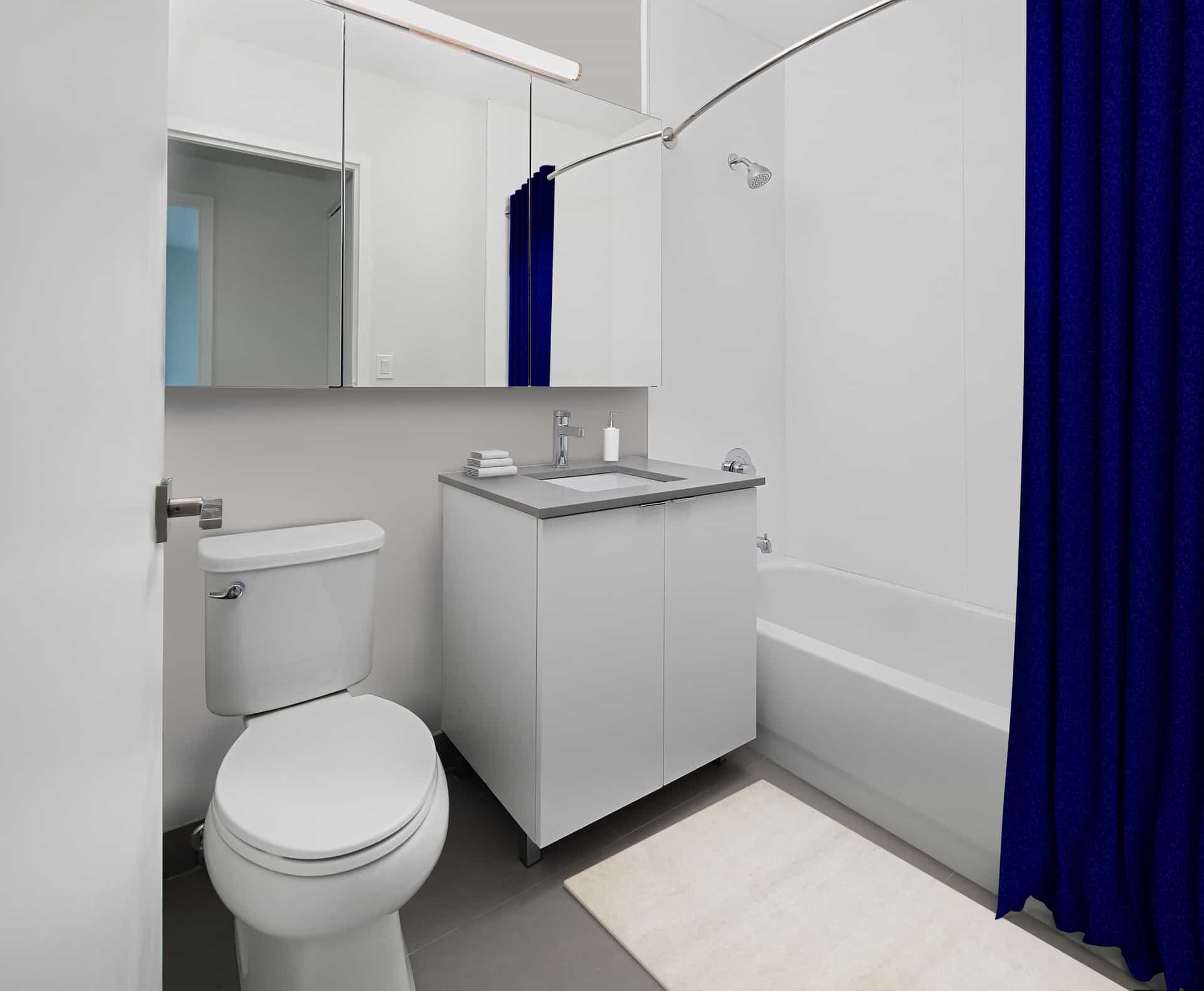 Avalon Midtown West 826 8 Avenue #24J, Manhattan, NY 10019 4