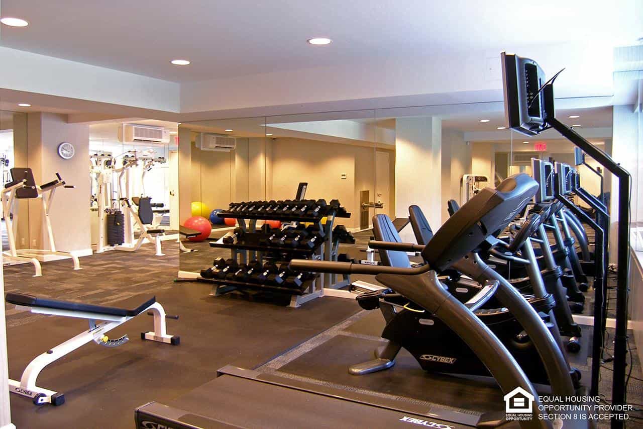 600 West  246 Street #5410, The Bronx, NY 10471 3