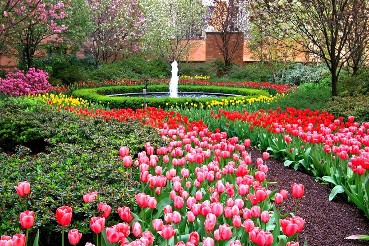 333 East 102 Street #5654, Manhattan, NY 10029 2