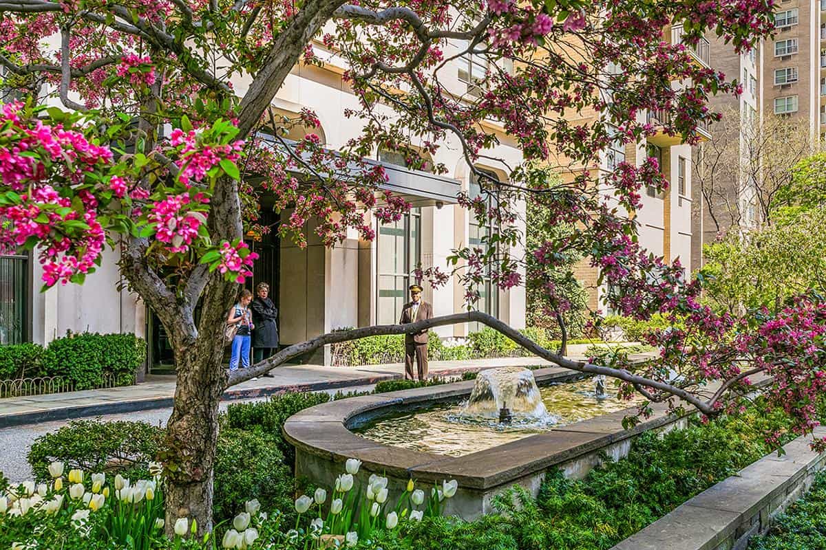 1365 York Ave #4958, Manhattan, NY 10021 5