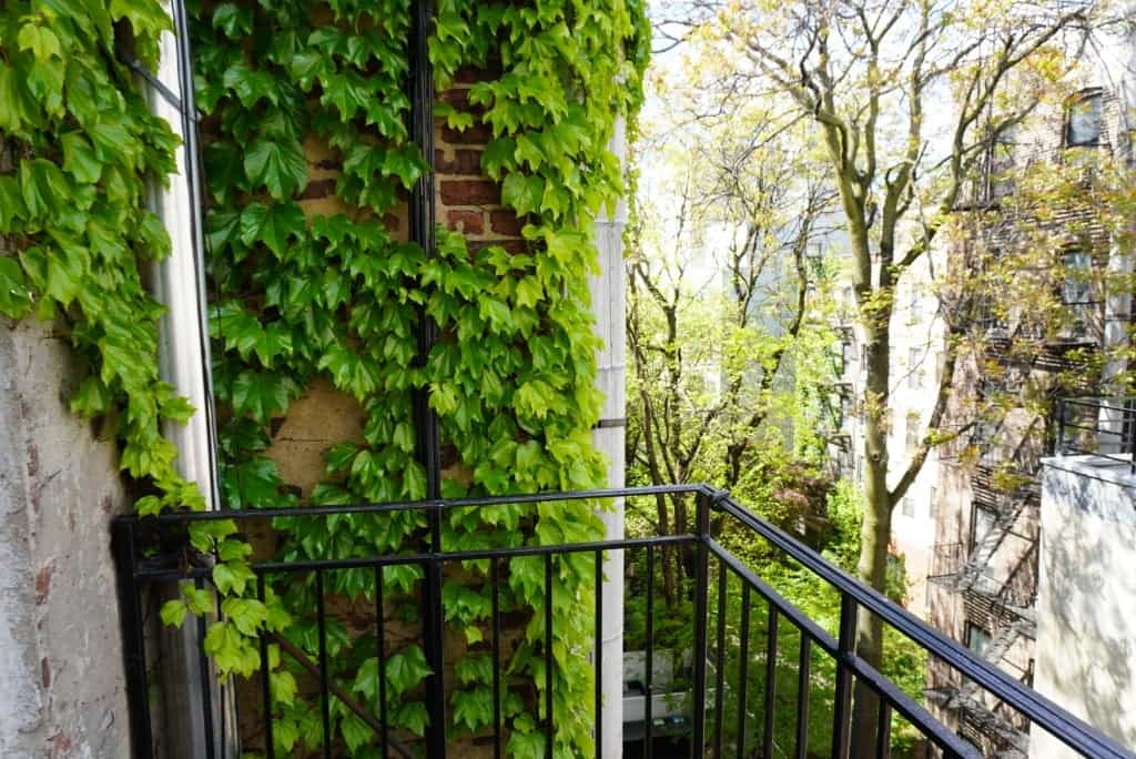 279 East 10 Street #13, Manhattan, NY 10009 4