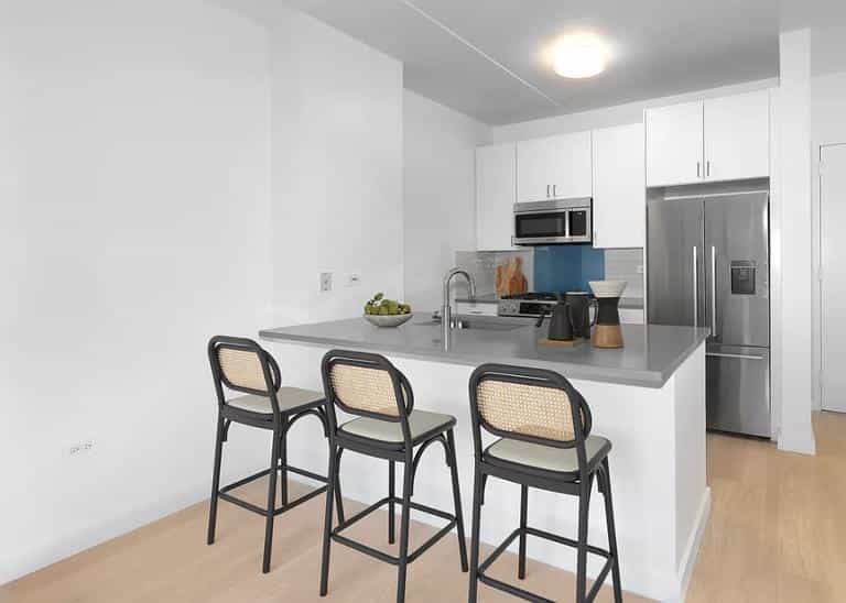 95 Worth Street #1108, Manhattan, NY 10013 2