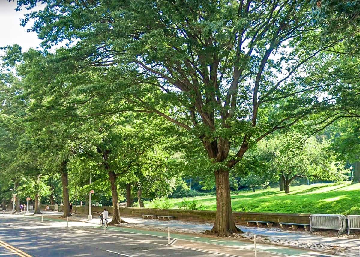 471 Central Park West #5A, Manhattan, NY 10025 5