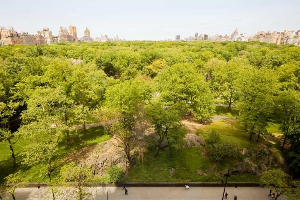 160 Central Park South #1005, Manhattan, NY 10019 3