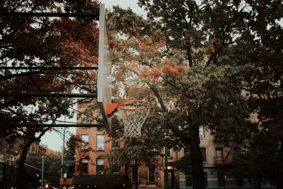 Renting in Morningside Heights: everything you need to know
