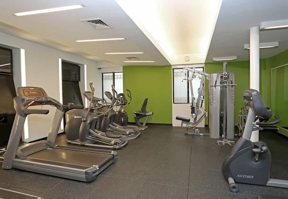 Midwest Court 410 West 53 Street #311, Manhattan, NY 10019 4
