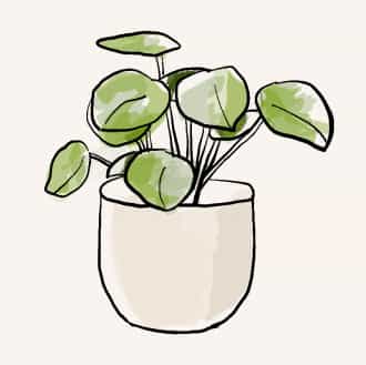 43-15 52 Street #3B, Queens, NY 11377 3