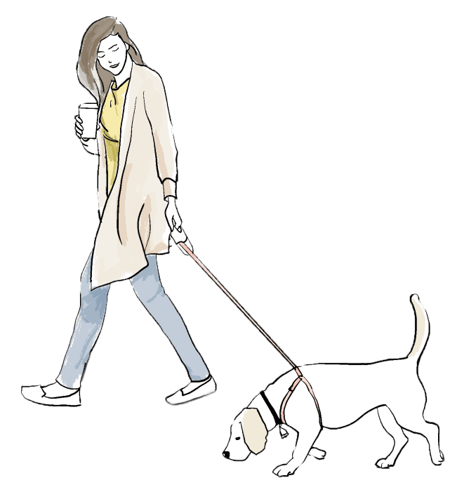 43-15 52 Street #8K, Queens, NY 11377 2