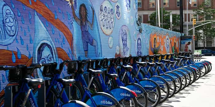 Bklyn Gold 257 Gold St #901, Brooklyn, NY 11201 4