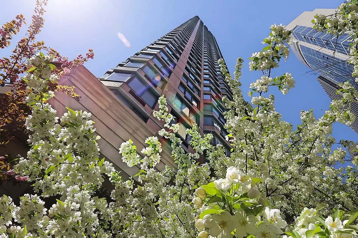 240 East 39 Street - Image 1