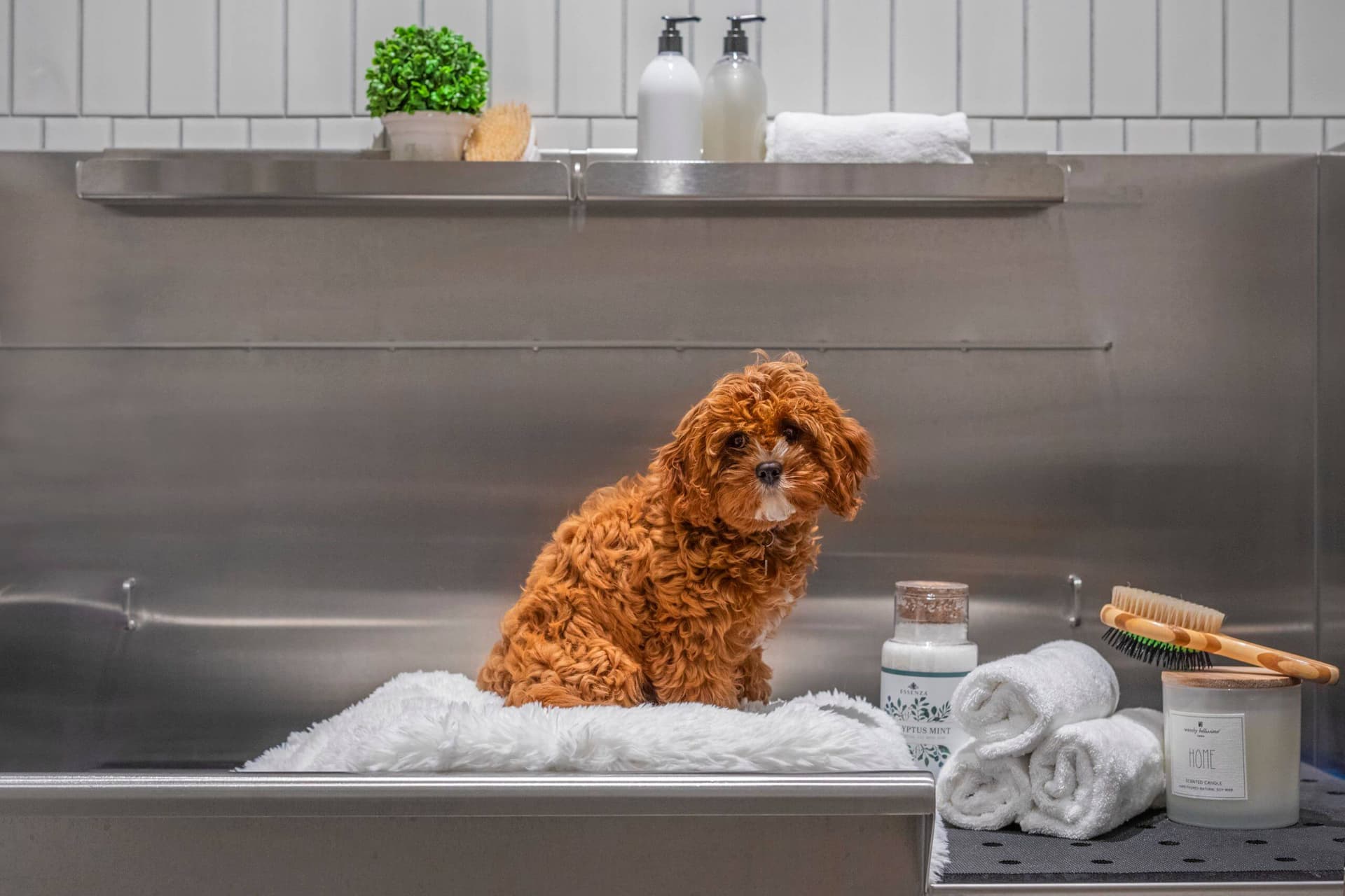 77 West 24 Street #6B, Manhattan, NY 10010 1