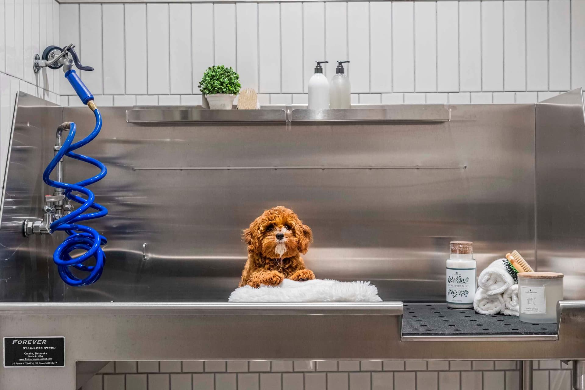 77 West 24 Street #4M, Manhattan, NY 10010 1