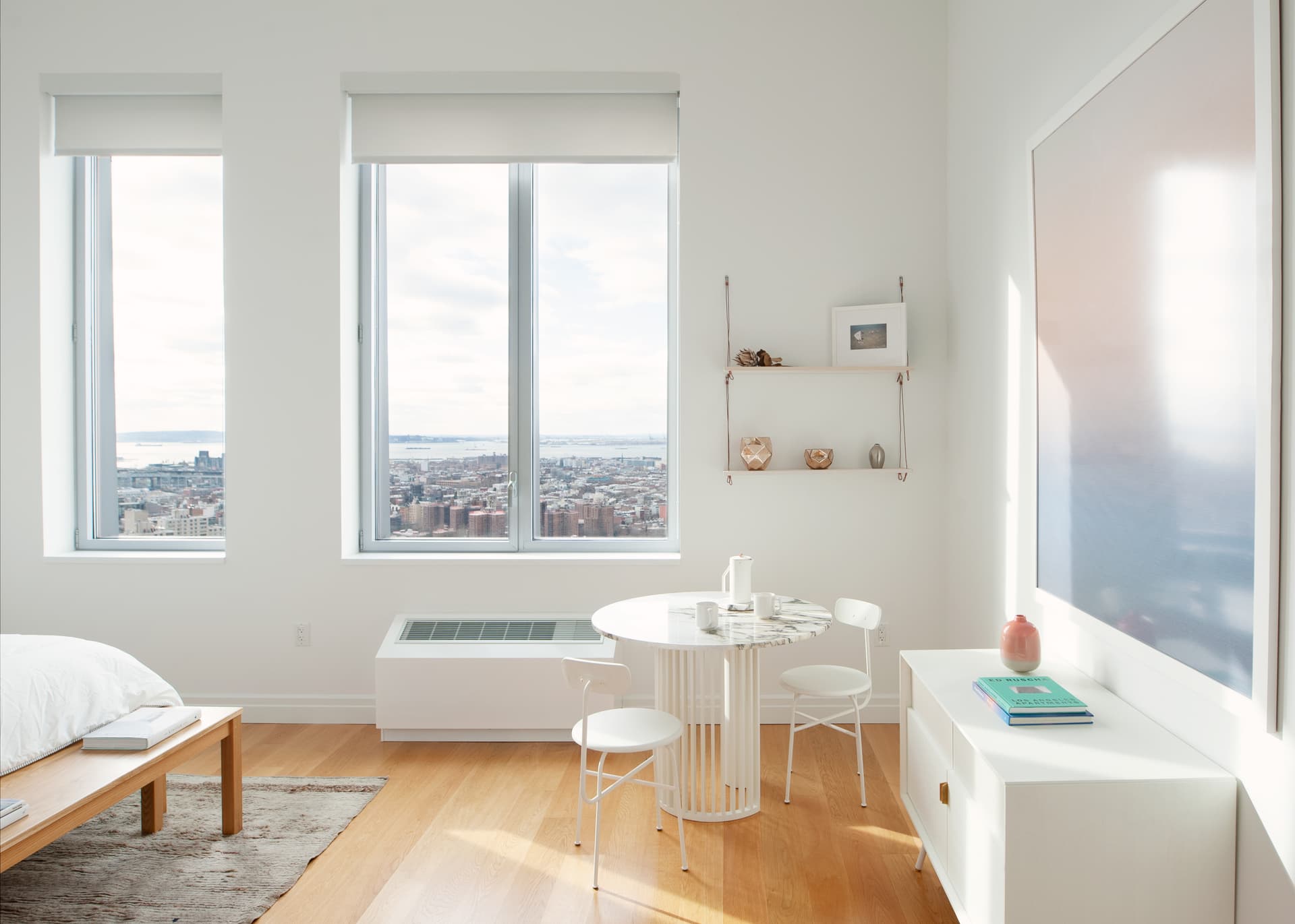 300 Ashland Place #19J, Brooklyn, NY 11217 1