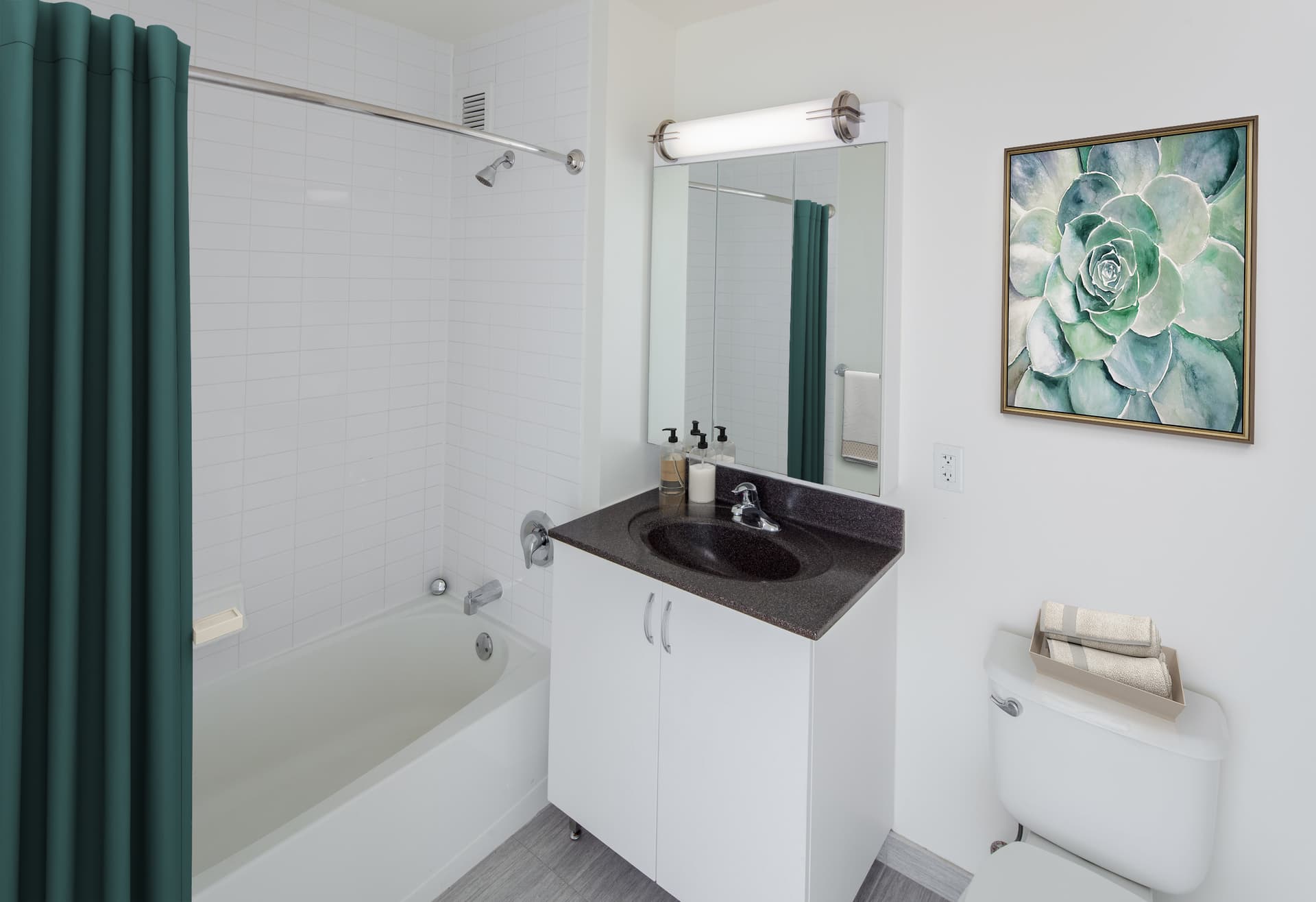343 Gold Street #1510, Brooklyn, NY 11201