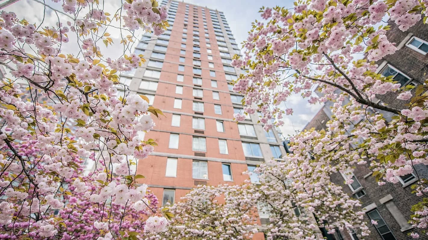 305 West 50 Street