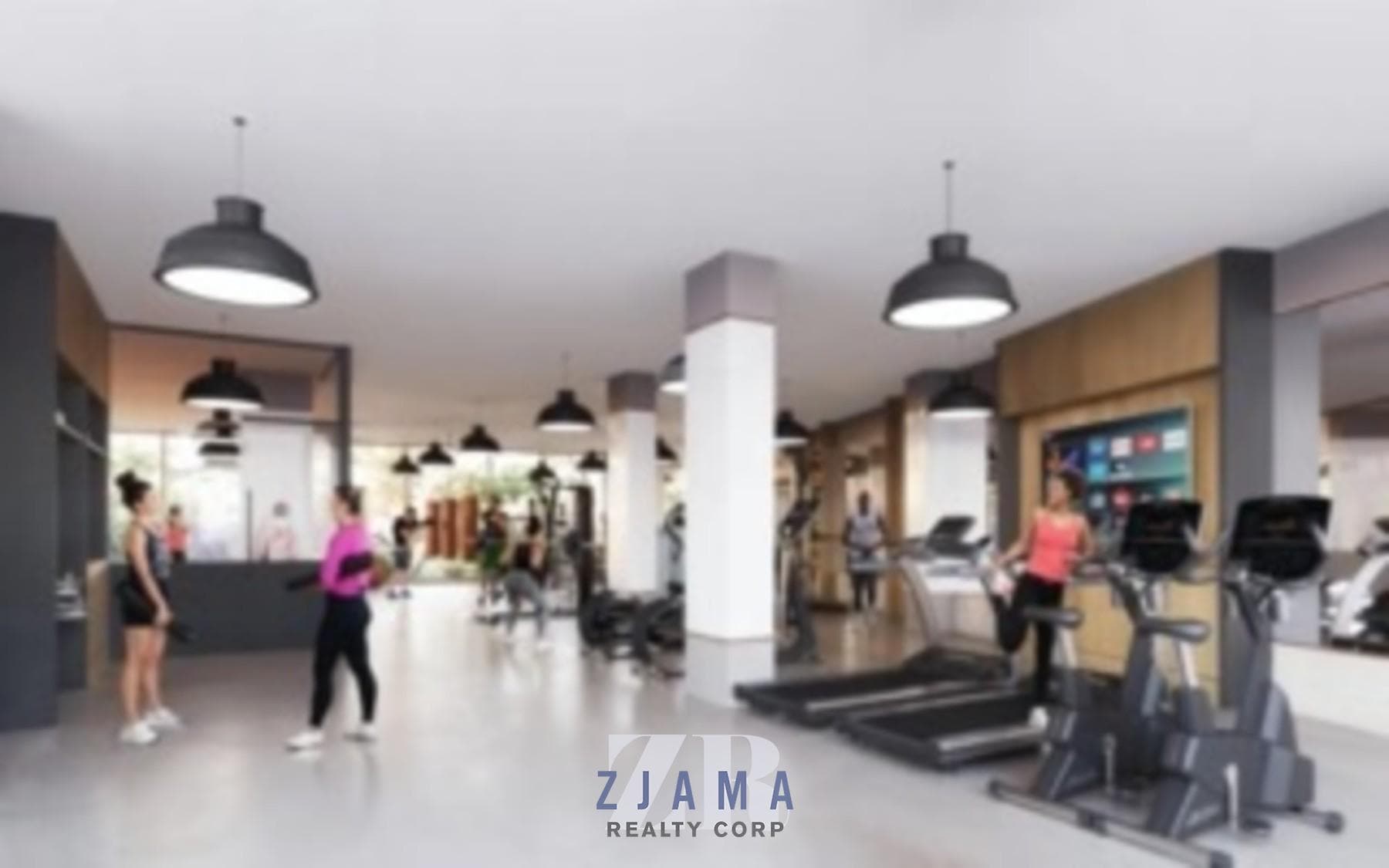 975 Nostrand Avenue #233, Brooklyn, NY 11225 1