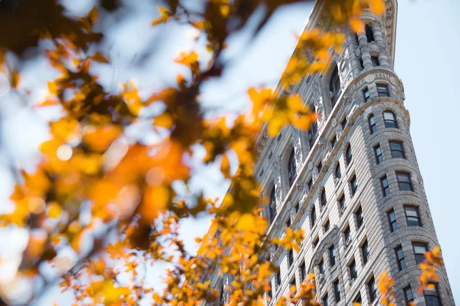 Flatiron or NoMad: which is the better place to rent?