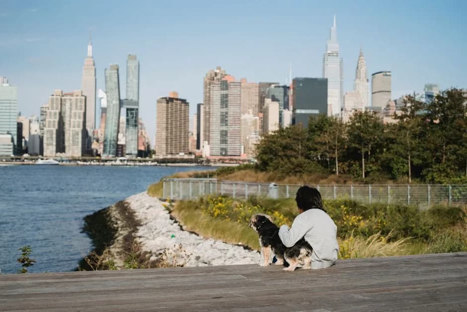 New to East Village? A renter's starter guide — Types of buildings and housing stock