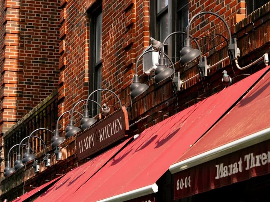 Renting in Lower East Side: what to expect — Types of buildings and housing stock