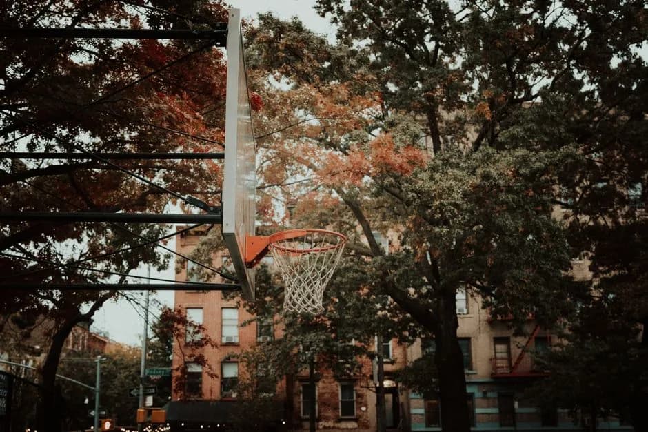 Renting in Morningside Heights: everything you need to know