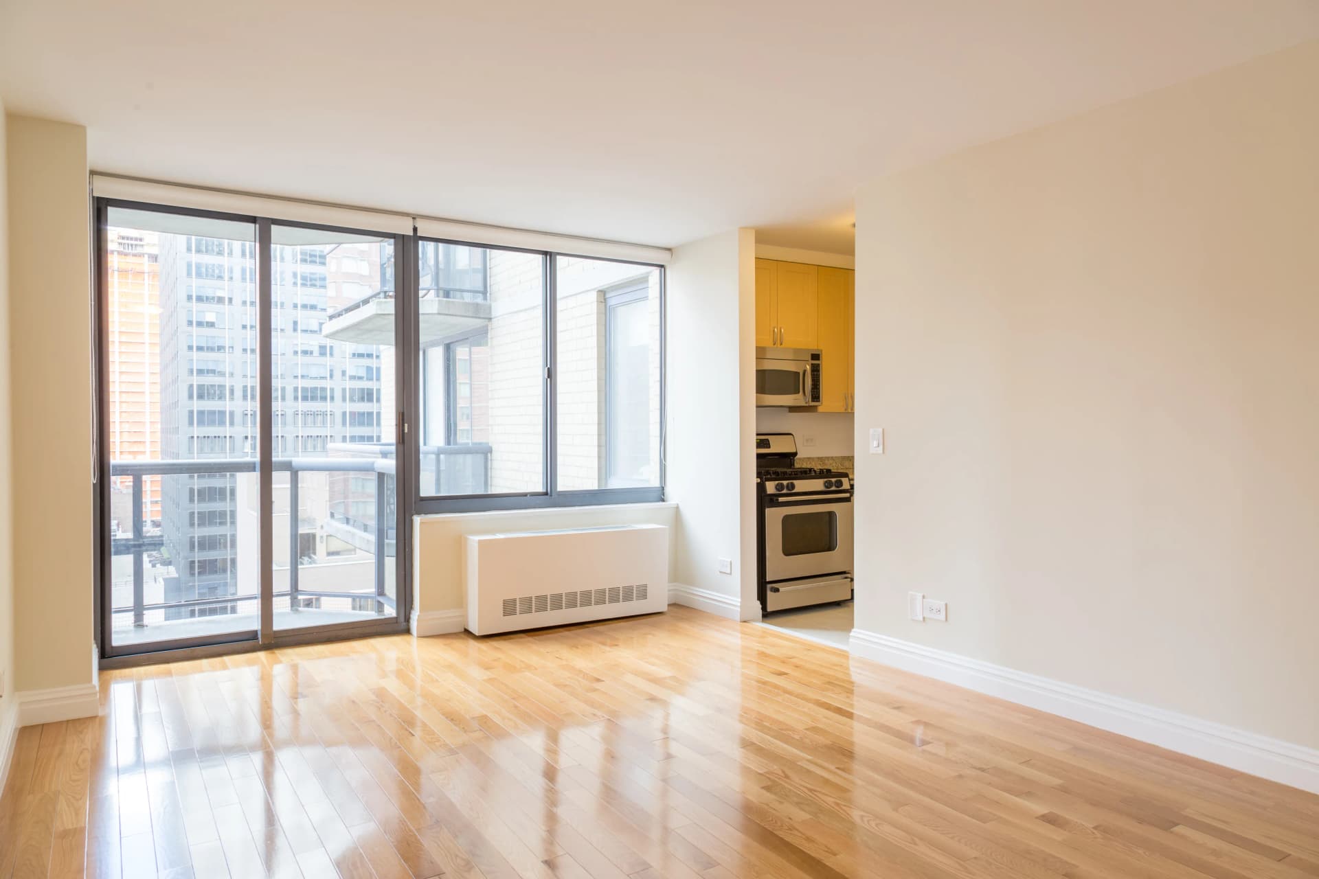The Ritz Plaza 235 West 48 Street #025M, Manhattan, NY 10019 1