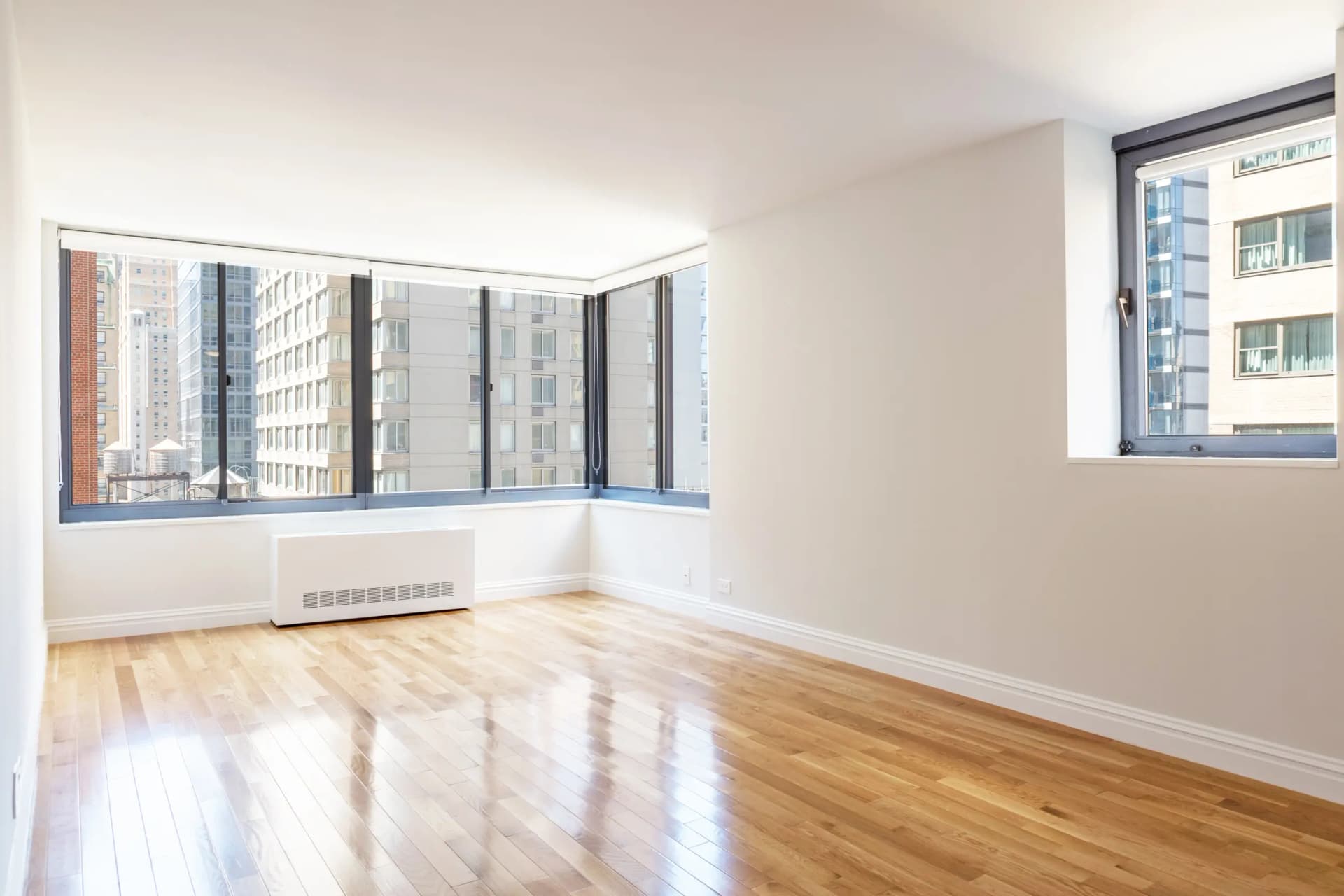 The Ritz Plaza 235 West 48 Street #009L, Manhattan, NY 10019 1