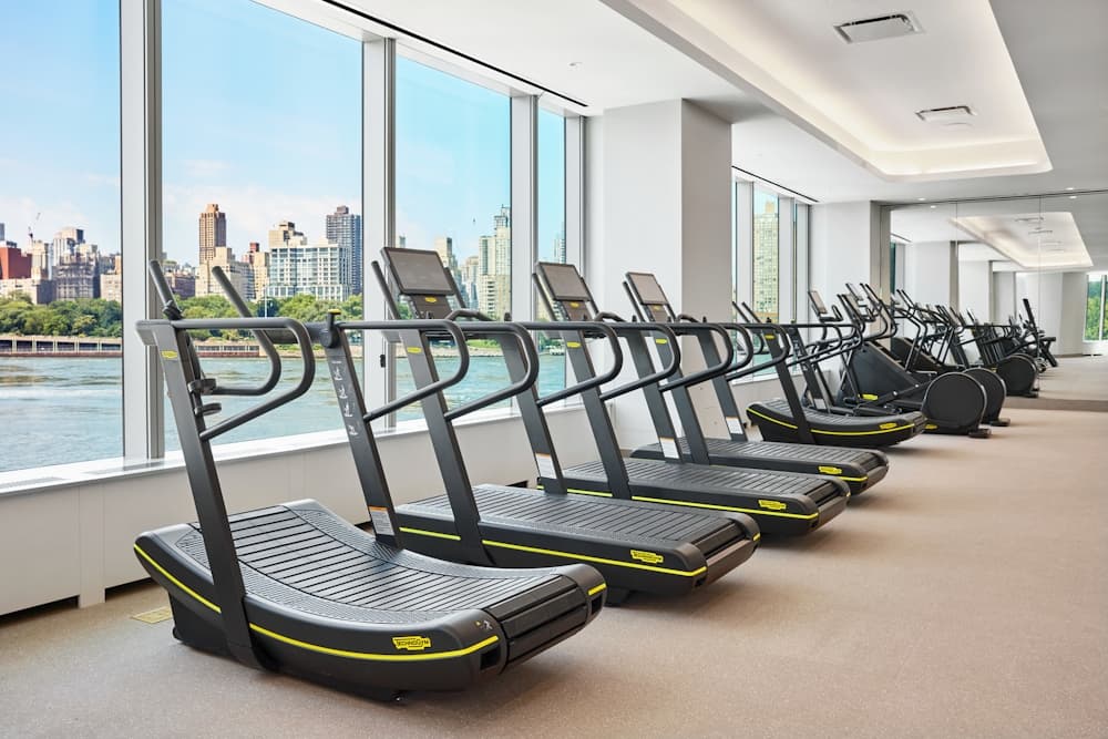 20 Halletts Point #1101, Queens, NY 11102 1