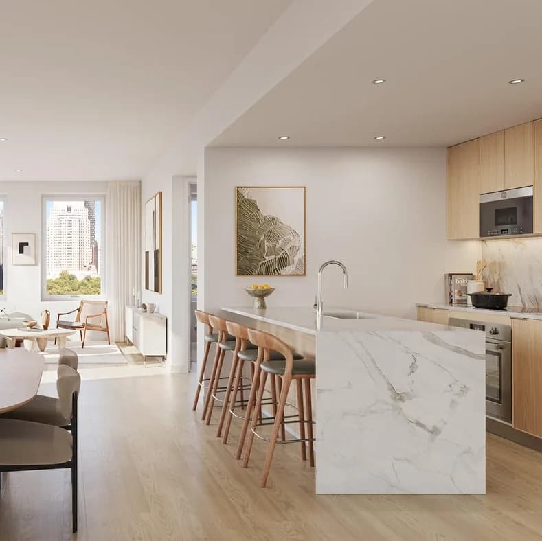 222 Broadway #735, Manhattan, NY 10038 apartment_kitchen 1