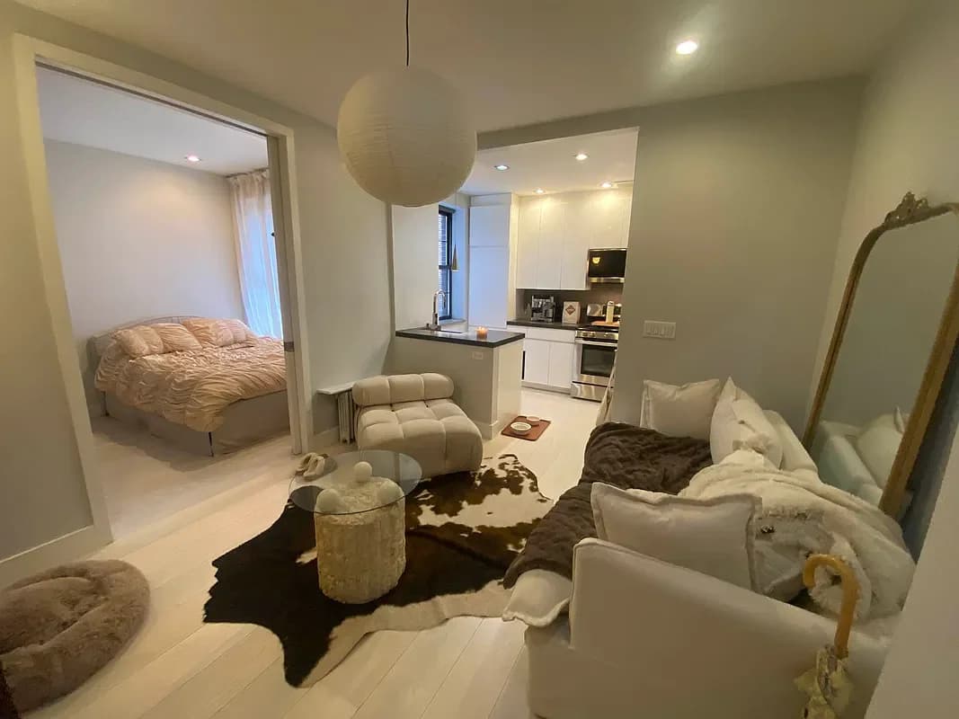 195 Stanton Street #4A, Manhattan, NY 10002 apartment_living_room 1