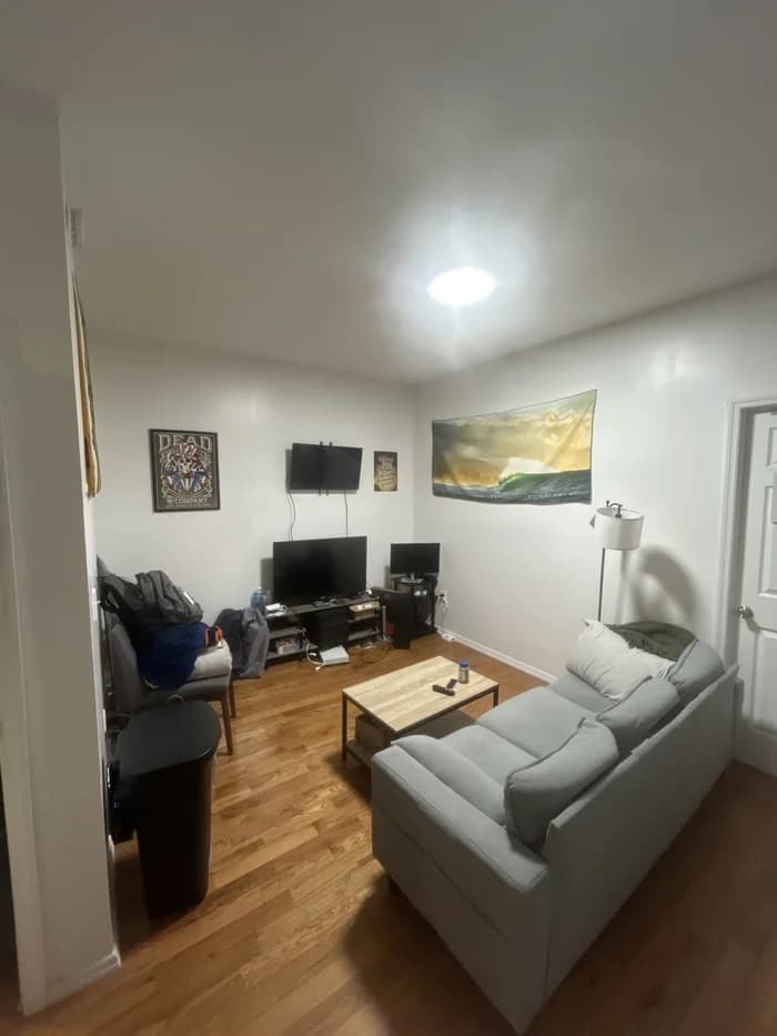 264 East 2 Street #4, Manhattan, NY 10009 apartment_living_room 1