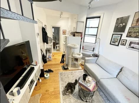 163 Chrystie Street #17, Manhattan, NY 10002