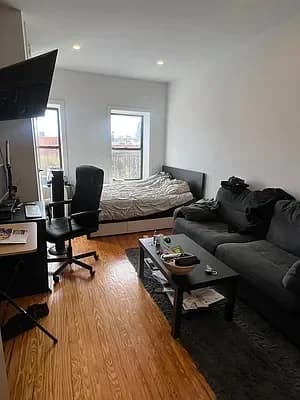 203 Chrystie Street #5AE, Manhattan, NY 10002 - Image 1