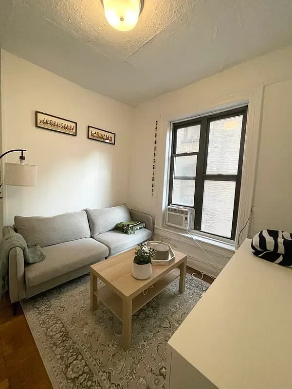 177 Thompson St #17, Manhattan, NY 10012 apartment_living_room 1