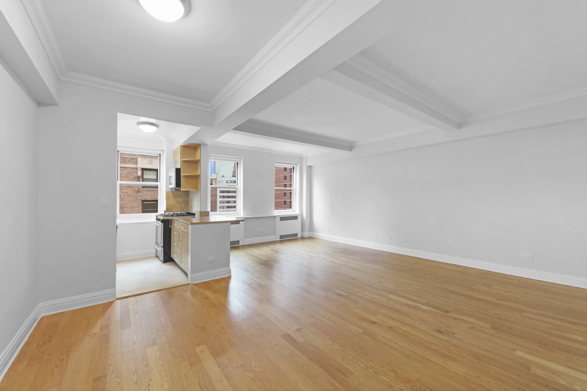 20 Park Avenue #014D, Manhattan, NY 10016 apartment_living_room 1