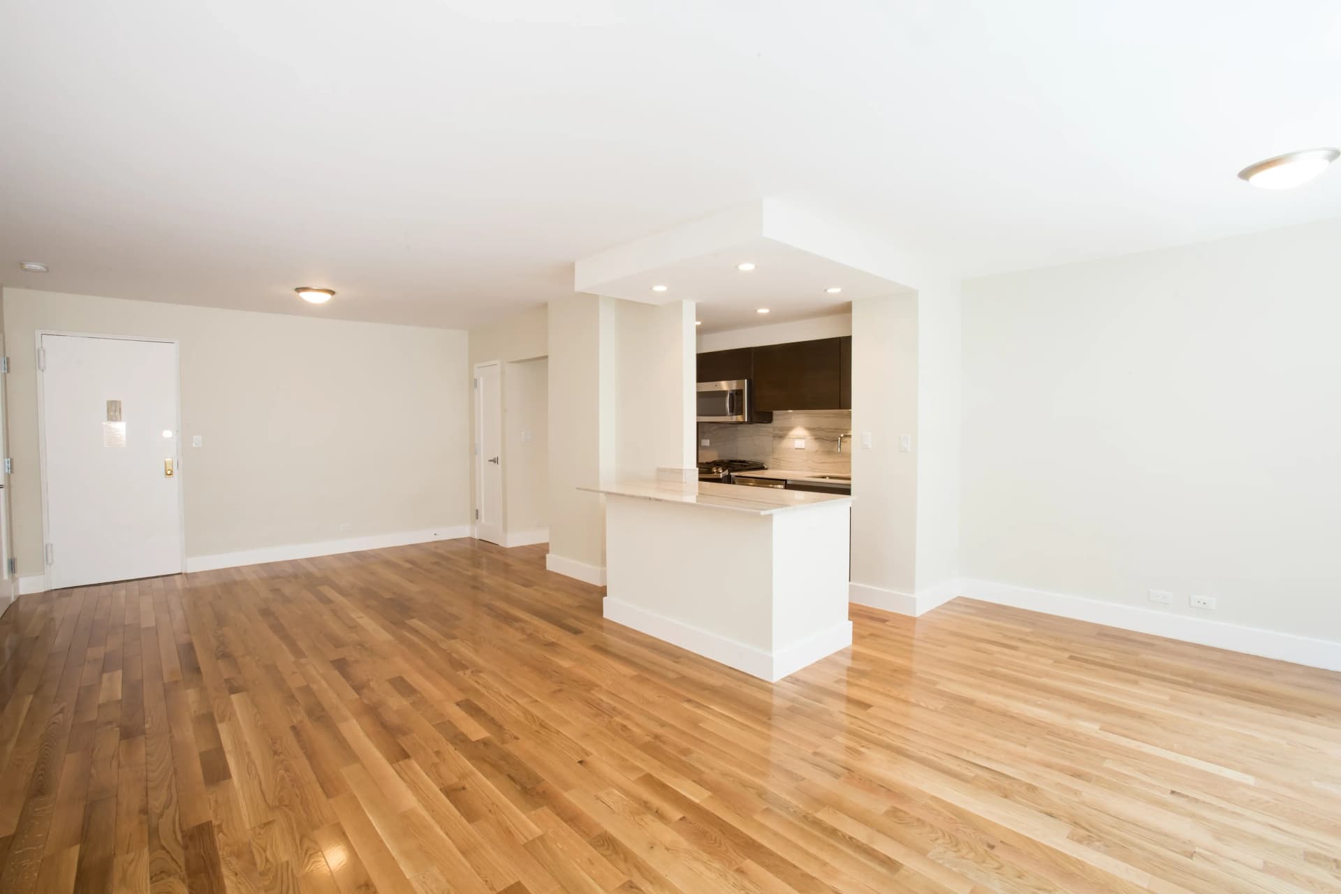 141 East 33 Street #003K, Manhattan, NY 10016 apartment_living_room 1