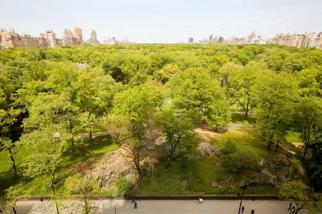 160 Central Park South #1005, Manhattan, NY 10019 apartment_view 1
