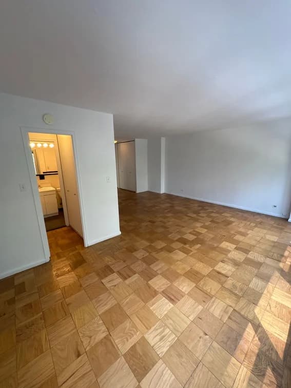 330 East 46 Street #4H, Manhattan, NY 10017 apartment_living_room 1