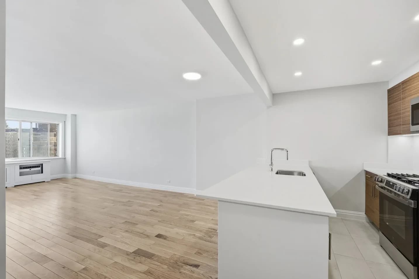 360 East 65 Street #010H, Manhattan, NY 10065 apartment_kitchen 1