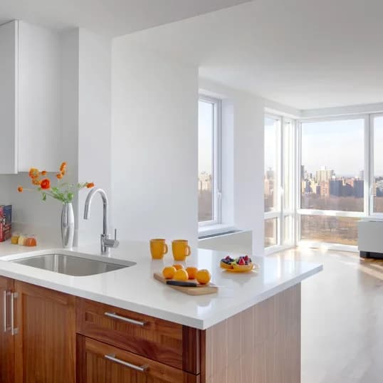10E East 102 Street #86A, Manhattan, NY 10029 apartment_kitchen 1