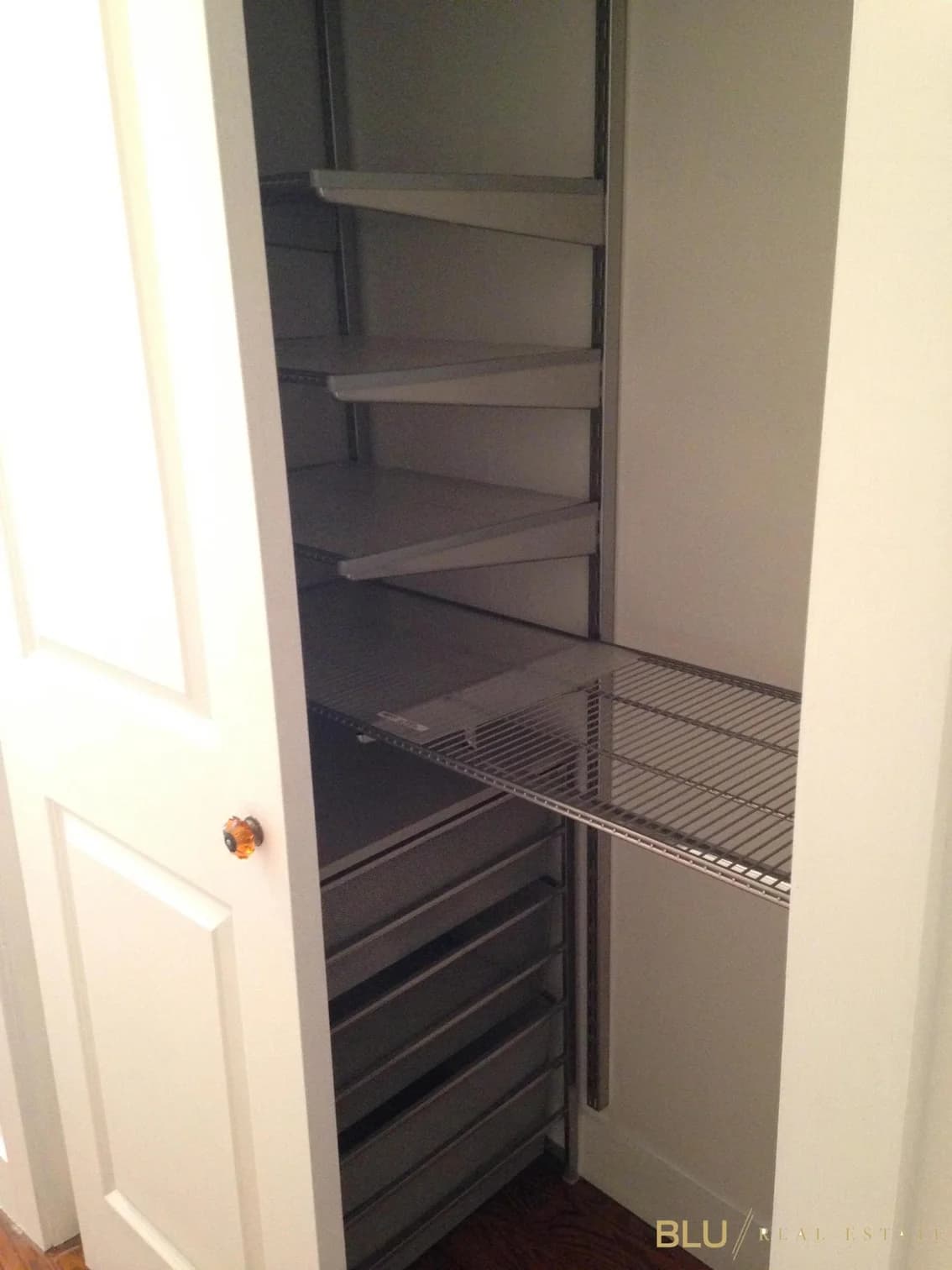 245 West 115 Street #12, Manhattan, NY 10026 apartment_walk_in_closet 1