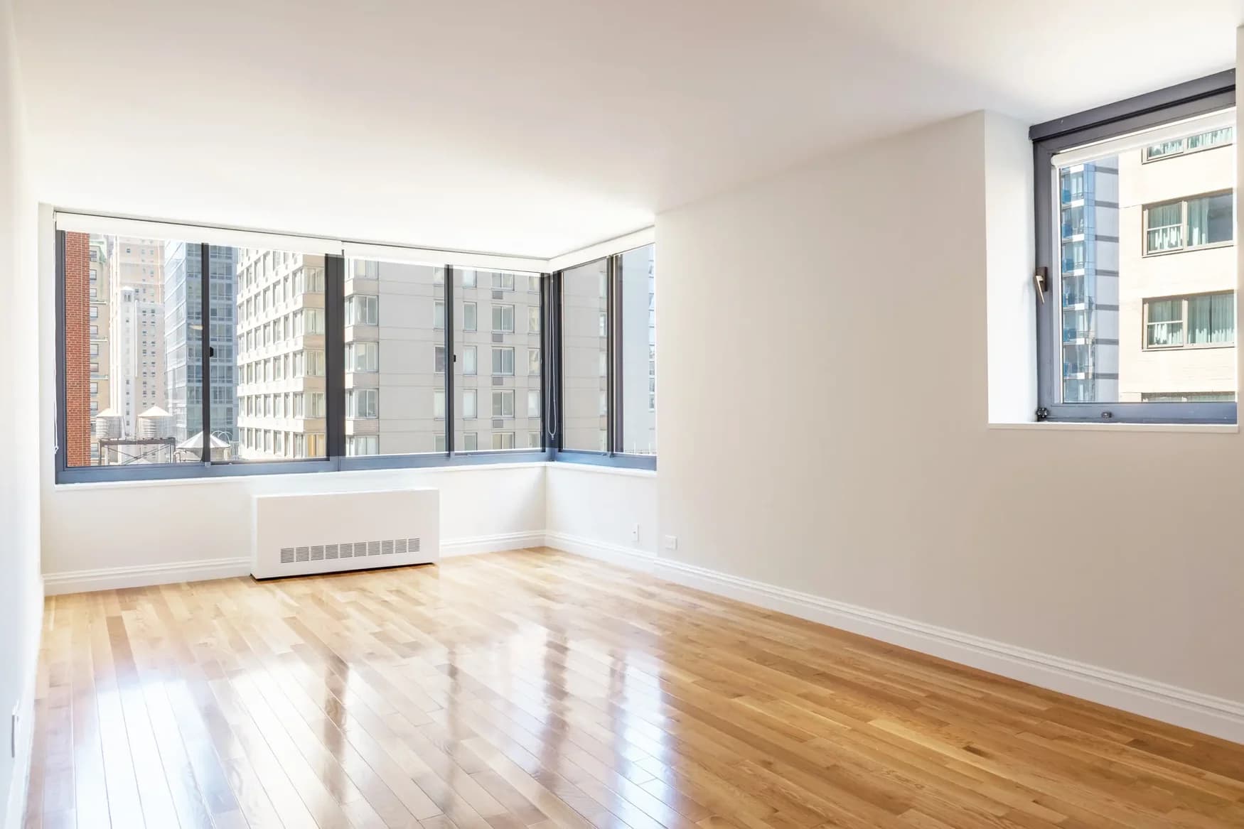 The Ritz Plaza 235 West 48 Street #009L, Manhattan, NY 10019 apartment_living_room 1