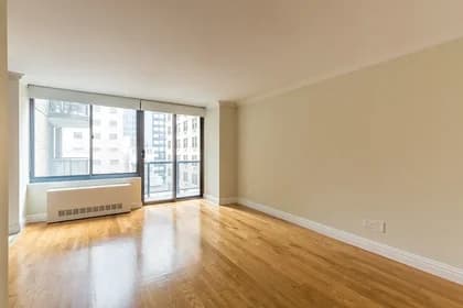 235 West 48 Street #18A, Manhattan, NY 10019